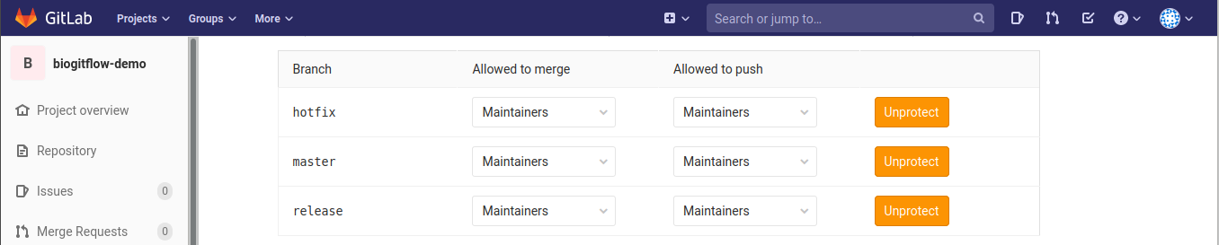 _images/gitlab_3protected_branches.png