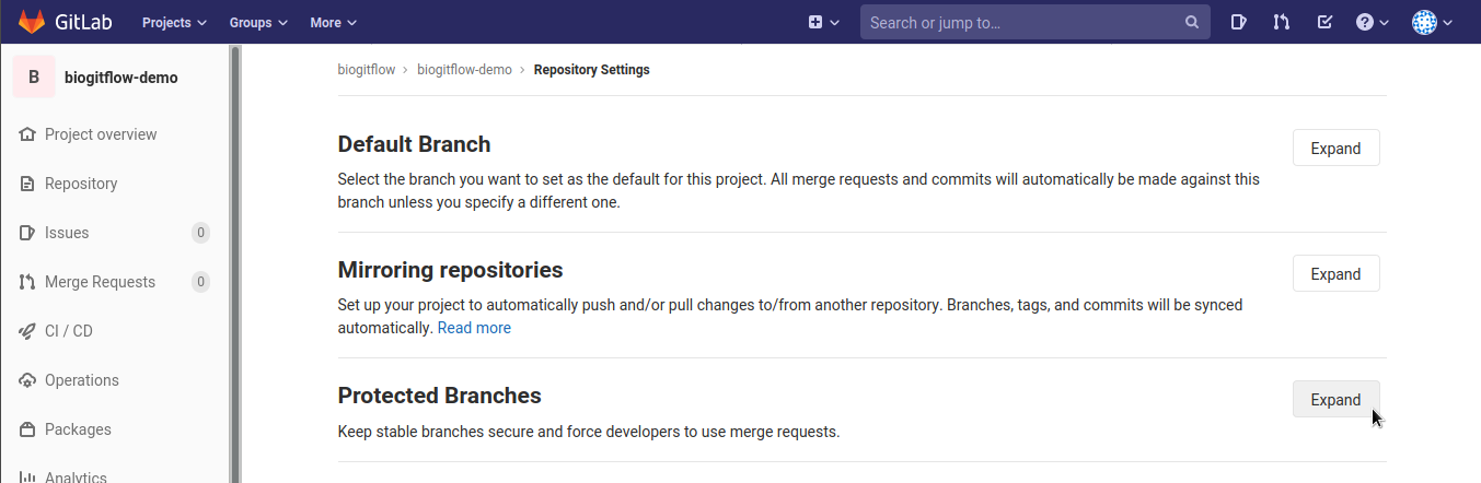 _images/gitlab_protected_branches.png